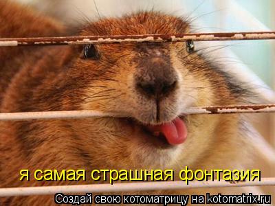 я самая страшная фонтазия... Котоматрица: я самая страшная фонтазия