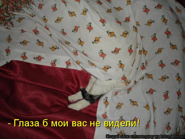 - Глаза б мои вас не видели!... Котоматрица: - Глаза б мои вас не видели!