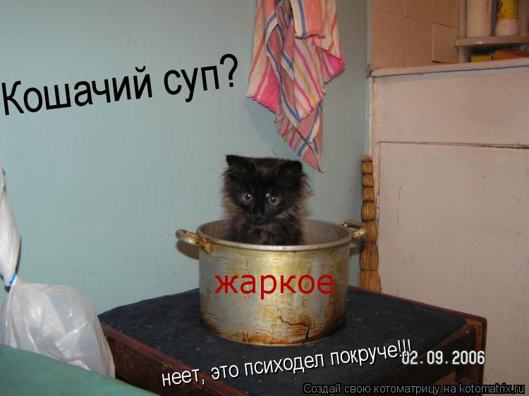 Котоматрица: Кошачий суп? неет, это психодел покруче!!! жаркое