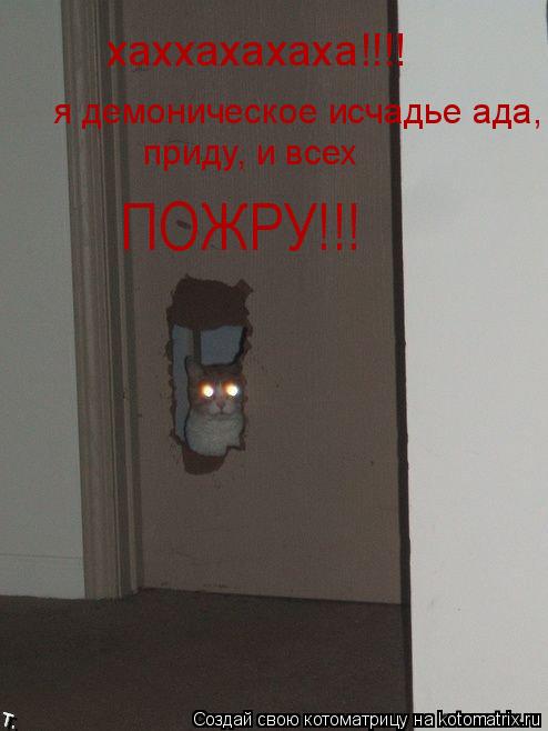 Котоматрица: хаххахахаха!!!! я демоническое исчадье ада, приду, и всех ПОЖРУ!!!