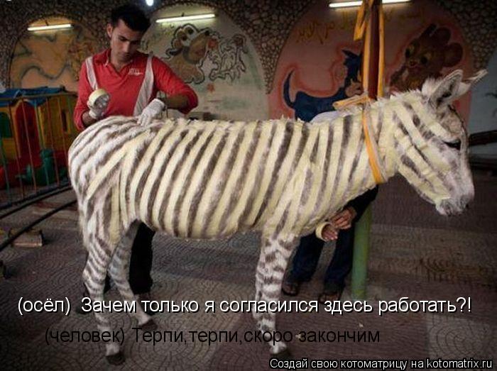 (осёл) Зачем только я согласился здесь работать?! (человек) Терпи,терпи,скоро закончим... Котоматрица: (осёл) Зачем только я согласился здесь работать?! (человек) Терпи,терпи,скоро закончим