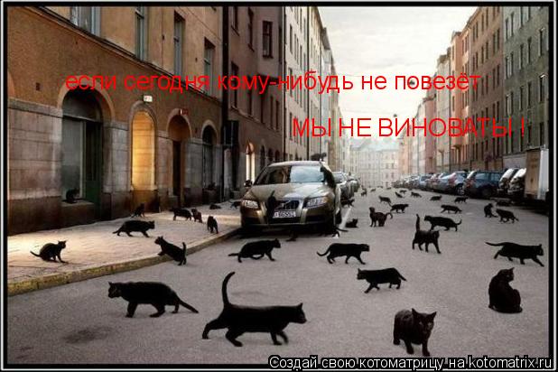 если сегодня кому-нибудь не повезёт МЫ НЕ ВИНОВАТЫ !... Котоматрица: если сегодня кому-нибудь не повезёт МЫ НЕ ВИНОВАТЫ !