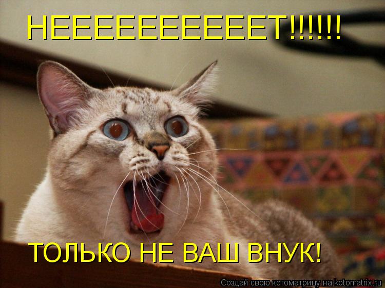 НЕЕЕЕЕЕЕЕЕЕТ!!!!!! ТОЛЬКО НЕ ВАШ ВНУК!... Котоматрица: НЕЕЕЕЕЕЕЕЕЕТ!!!!!! ТОЛЬКО НЕ ВАШ ВНУК!