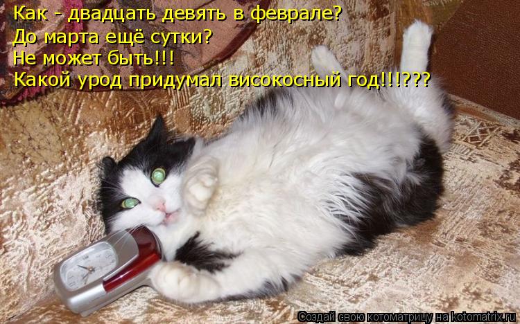 Котоматрица: Как - двадцать девять в феврале? До марта ещё сутки? Не может быть!!! Какой урод придумал високосный год!!!???