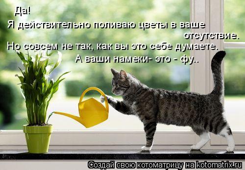 Котоматрица: Да!  Я действительно поливаю цветы в ваше отсутствие. А ваши намеки- это - фу.. Но совсем не так, как вы это себе думаете.
