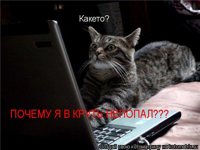 Котоматрица: Какето? ПОЧЕМУ Я В КРУТЬ НЕПОПАЛ???
