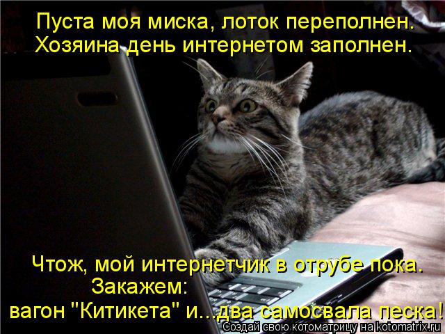Котоматрица: вагон "Китикета" и...два самосвала песка! Закажем:  Хозяина день интернетом заполнен. Пуста моя миска, лоток переполнен. Чтож, мой интернетчик