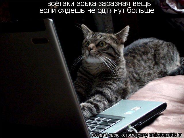 Котоматрица: всётаки аська заразная вещь если сядешь не одтянут больше