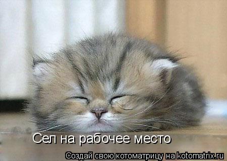 Котоматрица: Сел на рабочее место