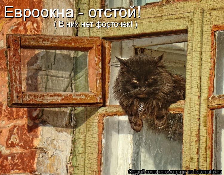 Евроокна - отстой! ( В них нет форточек! )... Котоматрица: Евроокна - отстой! ( В них нет форточек! )