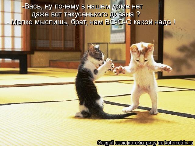 - Мелко мыслишь, брат, нам ВО-О-О какой надо ! даже вот такусенького дивана ? -Вась, ну почему в наше... Котоматрица: - Мелко мыслишь, брат, нам ВО-О-О какой надо ! даже вот такусенького дивана ? -Вась, ну почему в нашем доме нет