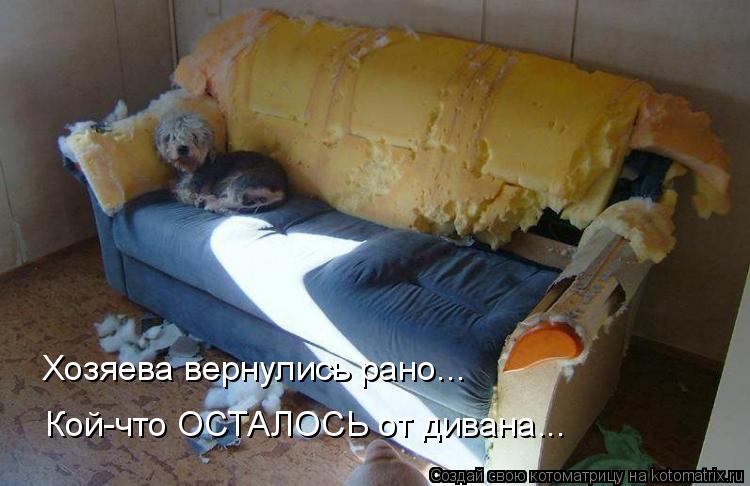 Хозяева вернулись рано... Кой-что ОСТАЛОСЬ от дивана...... Котоматрица: Хозяева вернулись рано... Кой-что ОСТАЛОСЬ от дивана...