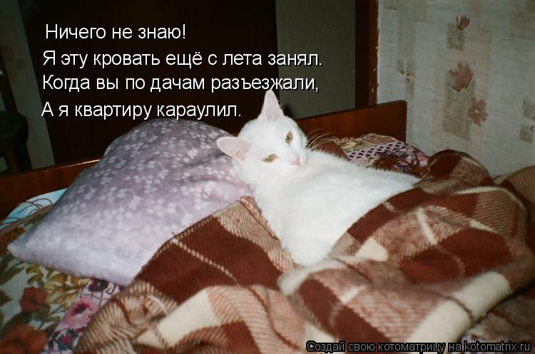 Ничего не знаю! Я эту кровать ещё с лета занял. Когда вы по дачам разъезжали, А я квартиру караулил.... Котоматрица: Ничего не знаю! Я эту кровать ещё с лета занял. Когда вы по дачам разъезжали, А я квартиру караулил.
