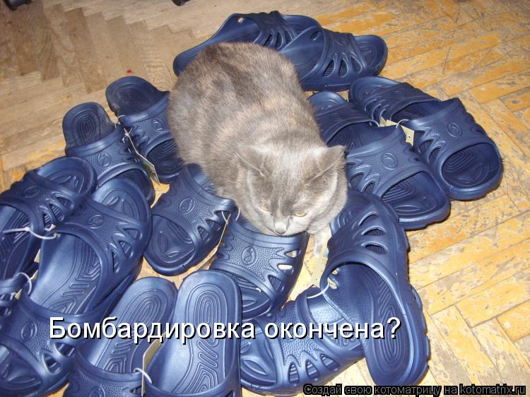 Бомбардировка окончена?... Котоматрица: Бомбардировка окончена?