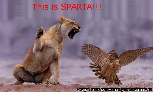 Котоматрица: This is SPARTA!!! This is SPARTA!!!