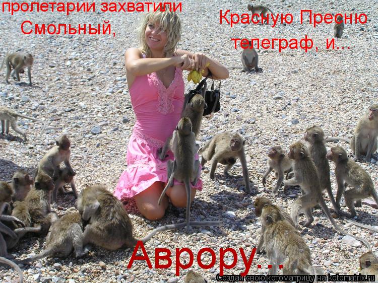 пролетарии захватили Смольный, Красную Пресню телеграф, и... Аврору...... Котоматрица: пролетарии захватили Смольный, Красную Пресню телеграф, и... Аврору...