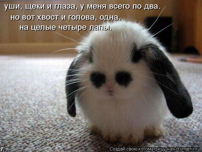 но вот голова и хвост, одна. на целые четыре лапы. но вот хвост и голова, одна. уши, щеки и глаза,... Котоматрица: но вот голова и хвост, одна. на целые четыре лапы. но вот хвост и голова, одна. уши, щеки и глаза, у меня всего по два.