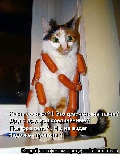 - Какие сосиски?!! Это красненькие такие? Друг с дружкой соединённые? Полтора кило?.. Не, не видел! Н... Котоматрица: - Какие сосиски?!! Это красненькие такие? Друг с дружкой соединённые? Полтора кило?.. Не, не видел! Надо же - пропали :(