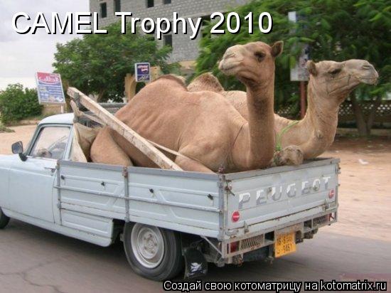 CAMEL Trophy 2010... Котоматрица: CAMEL Trophy 2010