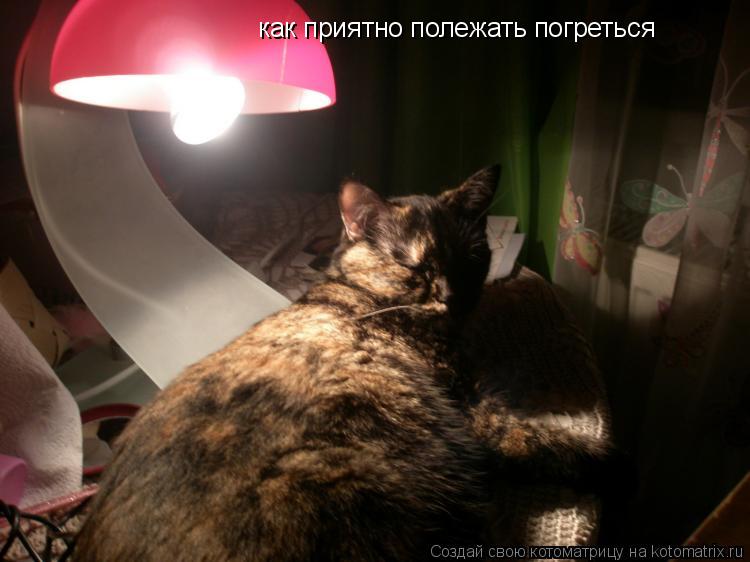 как приятно полежать погреться... Котоматрица: как приятно полежать погреться