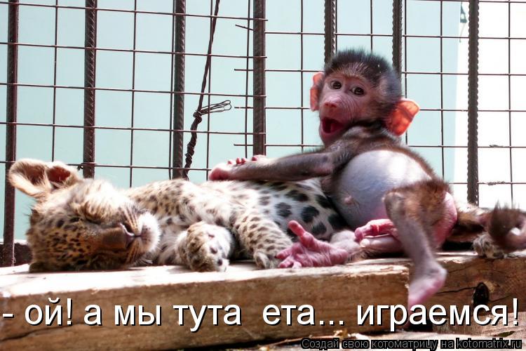 - ой! а мы тута ета... играемся!... Котоматрица: - ой! а мы тута ета... играемся!