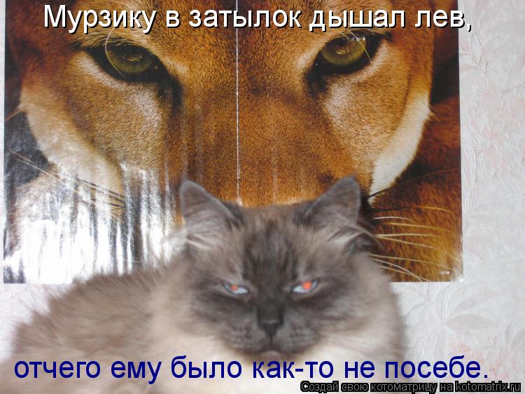 Мурзику в затылок дышал лев, отчего ему было как-то не посебе.... Котоматрица: Мурзику в затылок дышал лев, отчего ему было как-то не посебе.