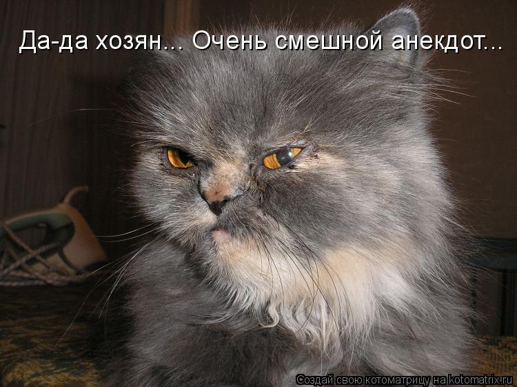 Да-да хозян... Очень смешной анекдот...... Котоматрица: Да-да хозян... Очень смешной анекдот...