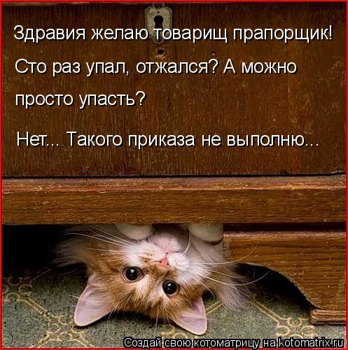 Котоматрица: Здравия желаю товарищ прапорщик! Сто раз упал, отжался? А можно просто упасть? Нет... Такого приказа не выполню...