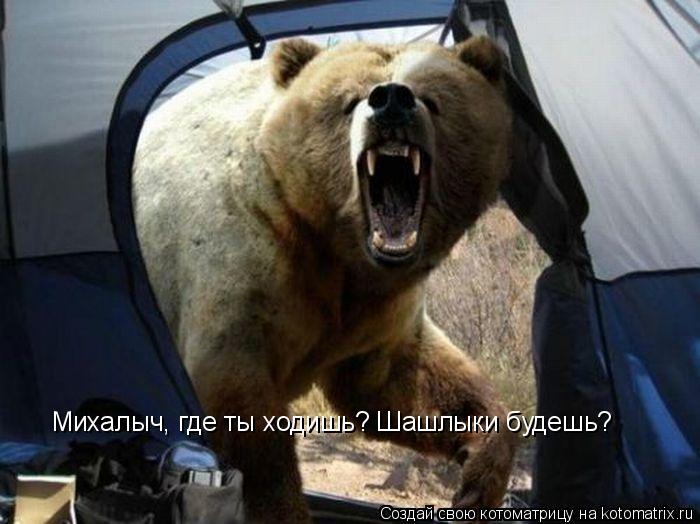 Котоматрица: Михалыч, где ты ходишь? Шашлыки будешь?