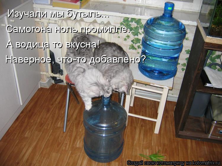 Котоматрица: Изучали мы бутыль... Самогона ноль промилле. А водица то вкусна! Наверное, что-то добавлено?