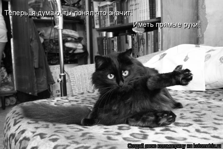 Теперь, я думаю, ты понял что значит: Иметь прямые руки!... Котоматрица: Теперь, я думаю, ты понял что значит: Иметь прямые руки!