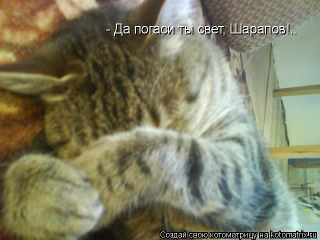 Котоматрица: - Да погаси ты свет, Шарапов!..
