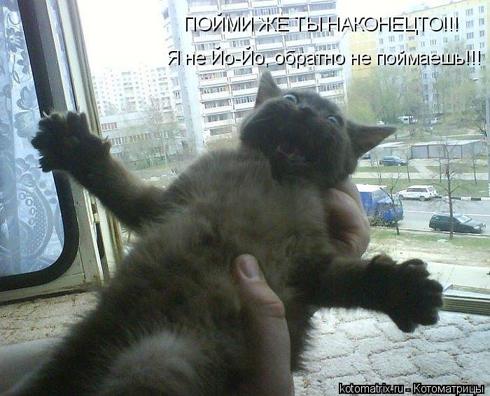 Котоматрица: ПОЙМИ ЖЕ ТЫ НАКОНЕЦТО!!! Я не Йо-Йо, обратно не поймаешь!!!
