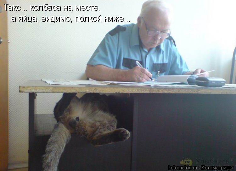 Котоматрица: Такс... колбаса на месте. а яйца, видимо, полкой ниже...