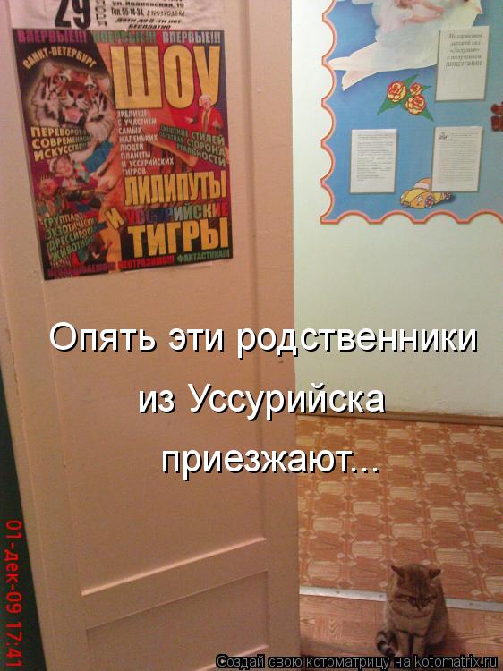 Котоматрица: Опять эти родственники  из Уссурийска приезжают...