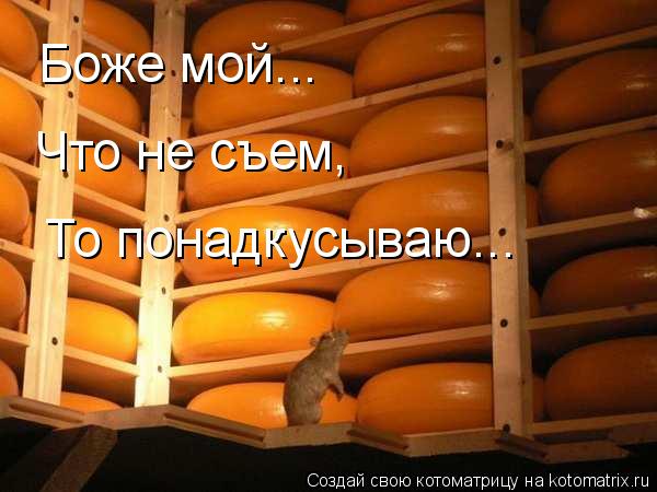 Котоматрица: Боже мой... То понадкусываю... Что не съем,