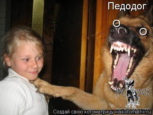Котоматрица: O O Педодог