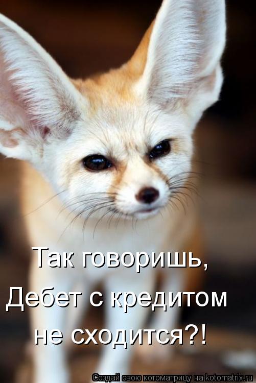 Котоматрица: Так говоришь, Дебет с кредитом не сходится?!