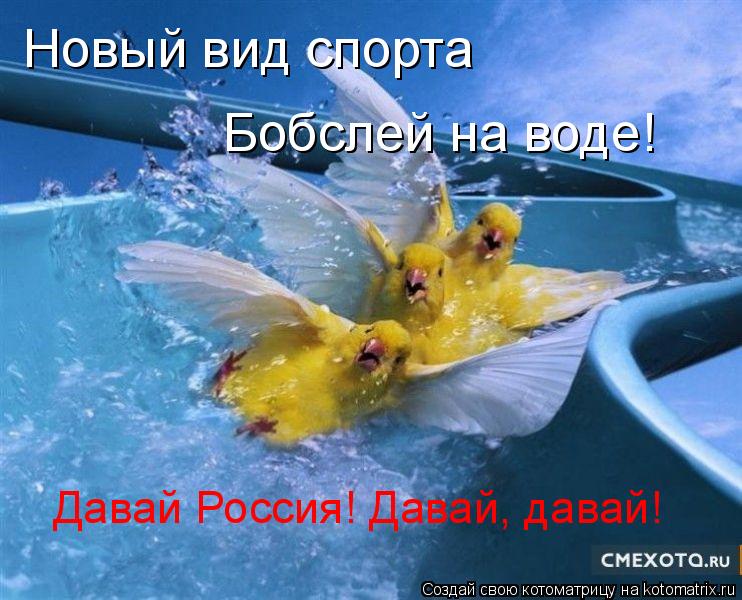 Котоматрица: Новый вид спорта Бобслей на воде! Давай Россия! Давай, давай!