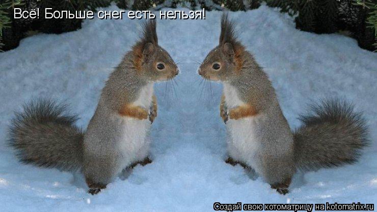 Котоматрица: Всё! Больше снег есть нельзя!