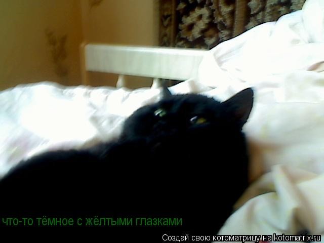 что-то тёмное с жёлтыми глазками... Котоматрица: что-то тёмное с жёлтыми глазками