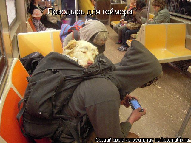 Поводырь для геймера.... Котоматрица: Поводырь для геймера.