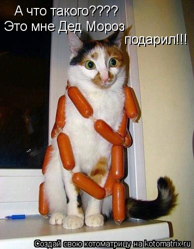 А что такого???? Это мне Дед Мороз подарил!!!... Котоматрица: А что такого???? Это мне Дед Мороз подарил!!!