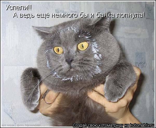 Успели!! А ведь ещё немного бы и банка лопнула!... Котоматрица: Успели!! А ведь ещё немного бы и банка лопнула!