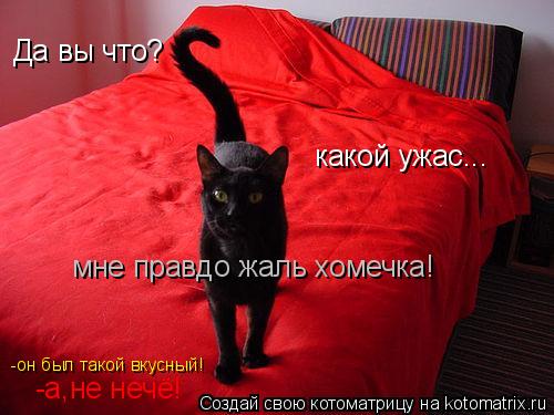 Котоматрица: Да вы что? какой ужас... мне правдо жаль хомечка! -он был такой вкусный! -а,не нечё!