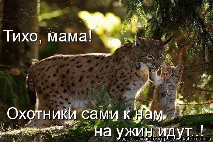 Тихо, мама! Охотники сами к нам на ужин идут..!... Котоматрица: Тихо, мама! Охотники сами к нам на ужин идут..!