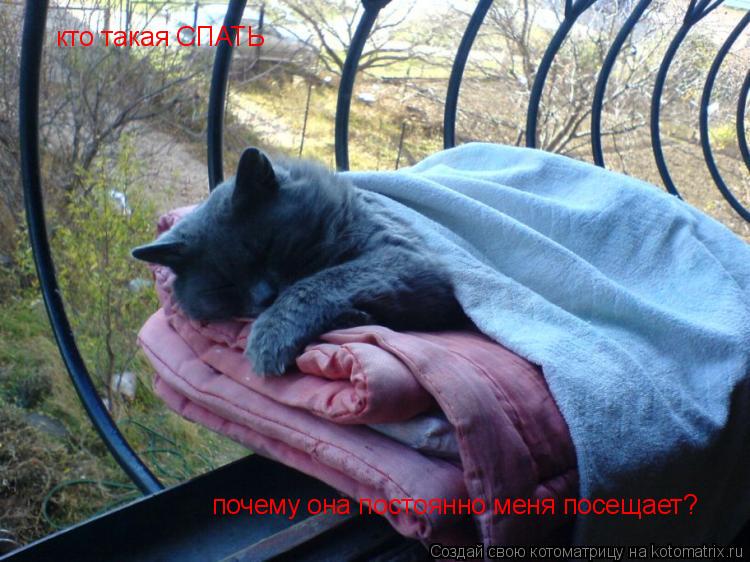 кто такая СПАТЬ почему она постоянно меня посещает?... Котоматрица: кто такая СПАТЬ почему она постоянно меня посещает?