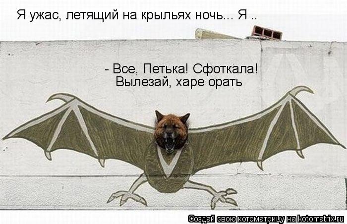Я ужас, летящий на крыльях ночь... Я .. - Все, Петька! Сфоткала! Вылезай, харе орать... Котоматрица: Я ужас, летящий на крыльях ночь... Я .. - Все, Петька! Сфоткала! Вылезай, харе орать