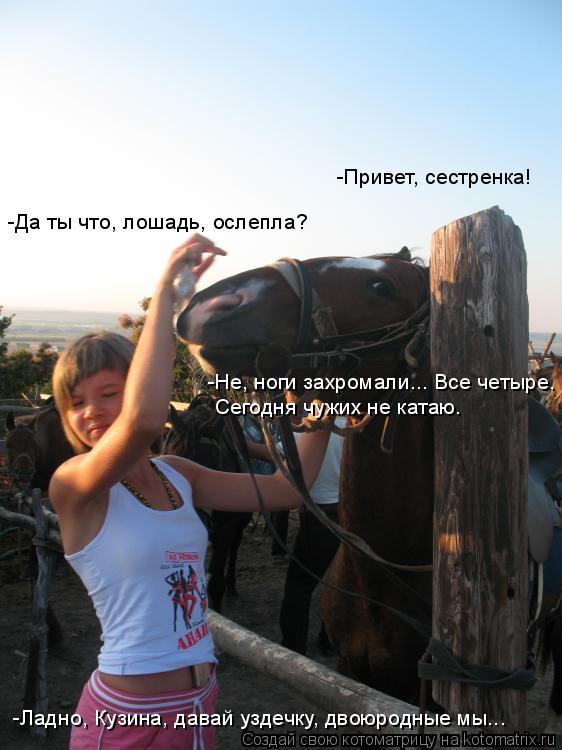 Котоматрица: -Привет, сестренка! -Да ты что, лошадь, ослепла? -Не, ноги захромали... Все четыре.  Сегодня чужих не катаю. -Ладно, Кузина, давай уздечку, двоюрод