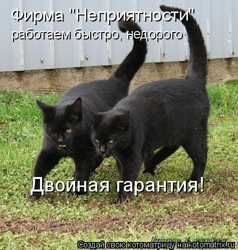 Котоматрица: Фирма "Неприятности" работаем быстро, недорого Двойная гарантия!